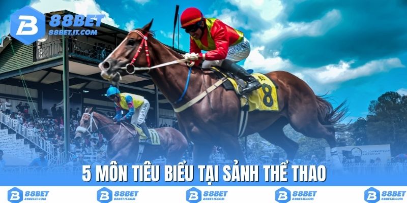 5 môn tiêu biểu tại sảnh thể thao
