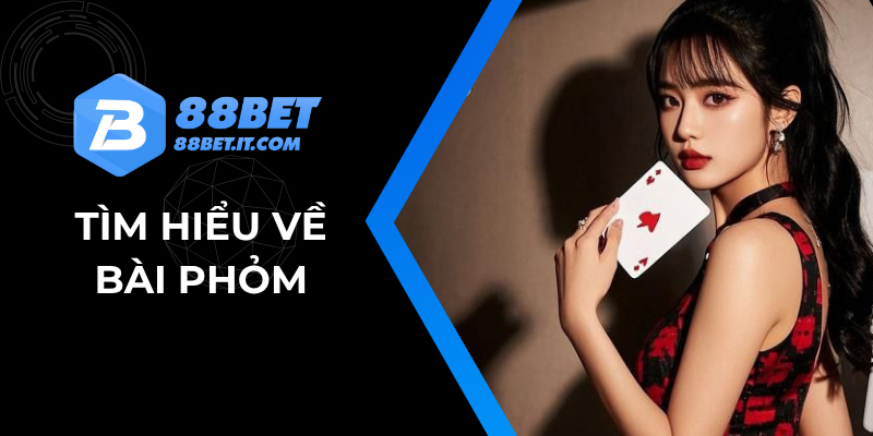 Bài Phỏm Là Gì: Luật Chơi Và Bí Quyết Chinh Phục Hiệu Quả