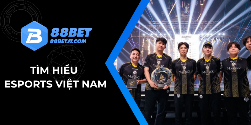 Cơ hội nào cho esport Việt Nam?