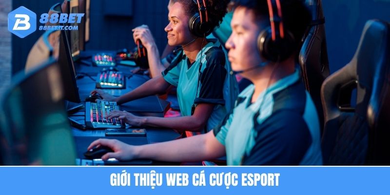 Giới thiệu web cá cược esport 88bet với hệ thống bảo mật đỉnh cao