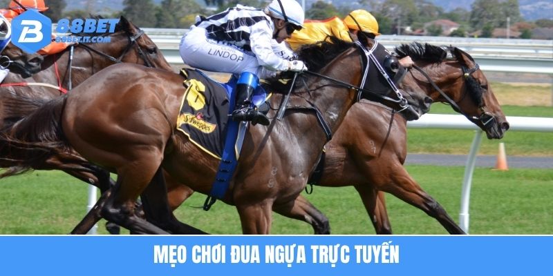 Mẹo chơi đua ngựa trực tuyến