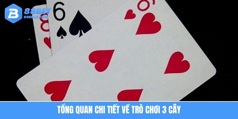 Bí quyết nắm cách chơi bài 3 cây chuẩn xác và hiệu quả nhất